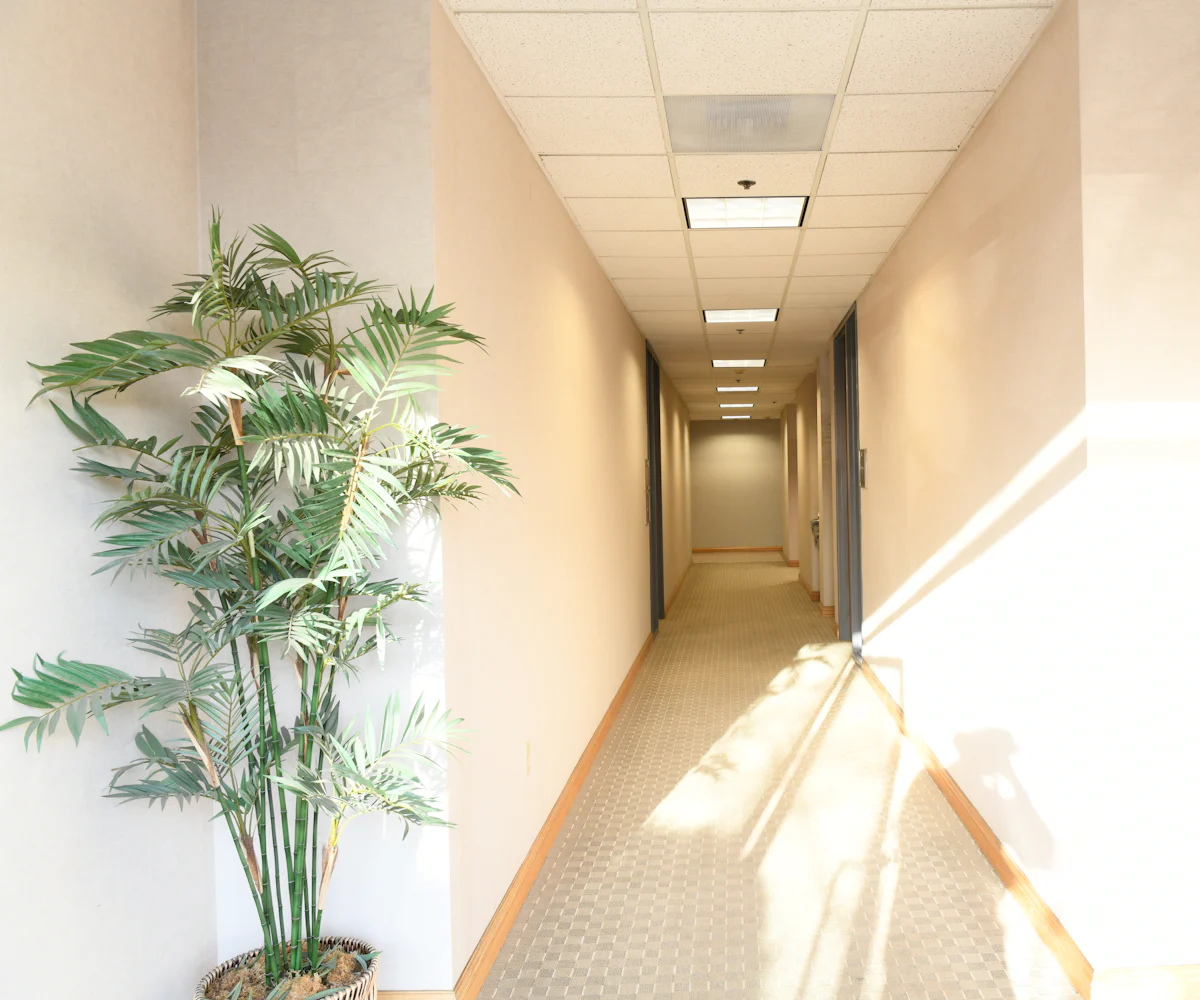 Pasillo de oficina iluminado por la luz del sol, con una planta junto a la pared